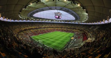 Când se vor întoarce suporterii pe stadioane. Anunțul făcut de ministrul Tineretului şi Sportului