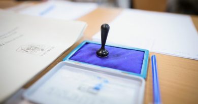 alegeri partiala locale 2020