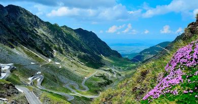 Plimare Transfăgărășan turist Spectaculos traseu montan drumetie
