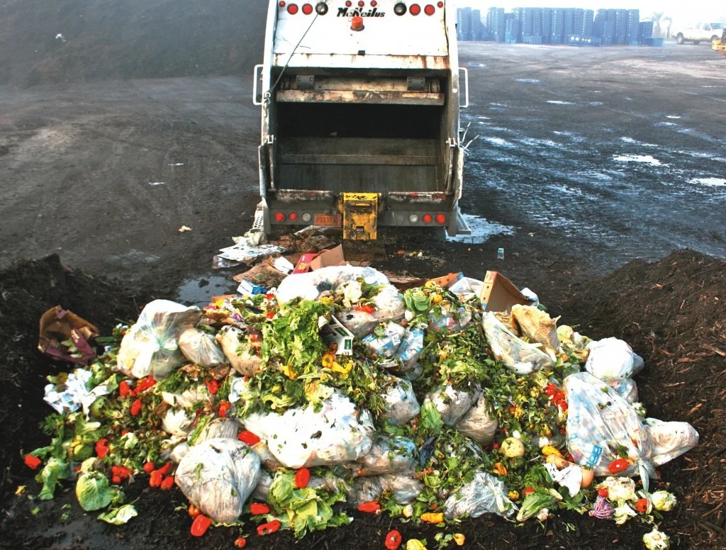 Românii cheltuie mult pe mâncare, dar o și aruncă. Trucuri simple pentru a evita risipa alimentară