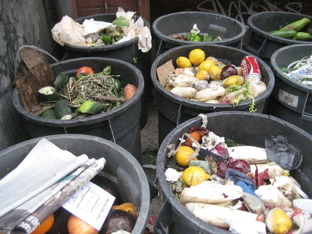 Românii cheltuie mult pe mâncare, dar o și aruncă. Trucuri simple pentru a evita risipa alimentară