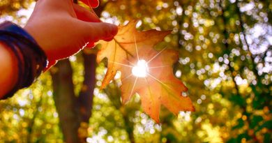 vremea 17 octombrie 2020 romania