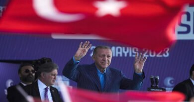 turcia erdogan alegeri
